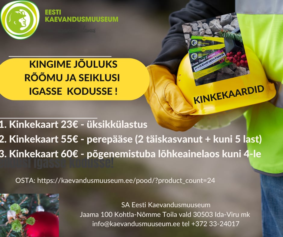 KINGIME RÕÕMU JA SEIKLUSI IGASSE KODUSSE!!!